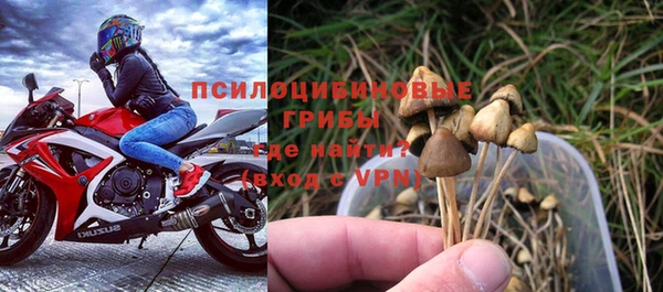 мяу мяу кристалл Вяземский