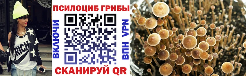 kraken маркетплейс  Дюртюли  Псилоцибиновые грибы Psilocybe 